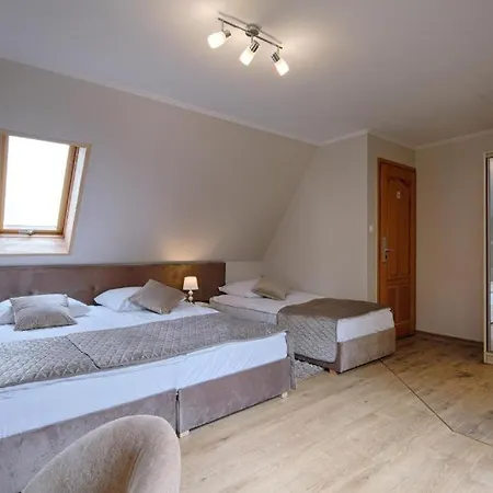 Dawidek 扎科帕内